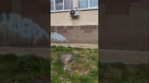 Анькины ночлежки как так можно жить