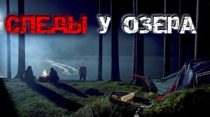 Реальный опыт туриста. 3 ночи в лесу, которые я не забуду никогда