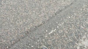 1000036168.mp4
