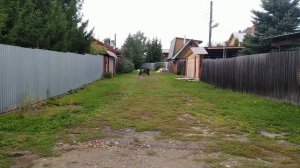 Моргуновка ходовые 2