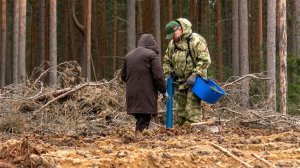 Белорусские депутаты посадили «парламентский лес»