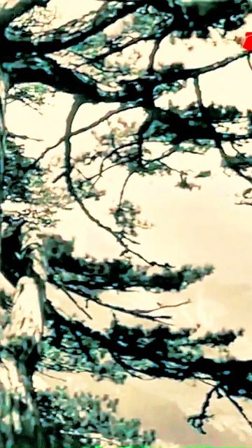 Развод по американски 2026