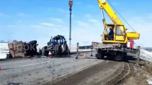 Легковушка столкнулась с трактором в Татарстане, четверо погибли: кадры с места ЧП.