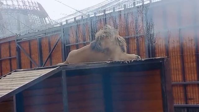 OKKG5065_Видео от Ивана 10.04.2026