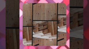 1000055729.mp4 (Собака наблюдает за устройством лестницы на 2-ой этаж в доме А-фрейм)