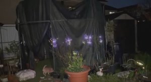 Вечерние гуляния, любуемся фонариками.