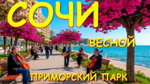 Сочи набережная,Сочи примосркий,Сочи сегодня,Сочи погода,Сочи сейчас,Сочи обзор, Сочи что посмотреть