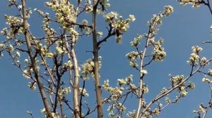 Великая суббота перед Пасхой что нельзя делать.