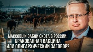 Михаил Делягин | Массовый забой скота в России- бракованная вакцина или олигархический заговор-