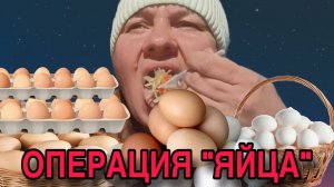 ОПЕРАЦИЯ "ЯЙЦА"! ОЛЬГА ИЗ ЗАУРАЛЬЯ. ОБЗОР.