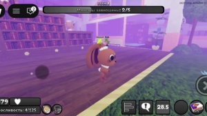 играю в рб мир дэнди