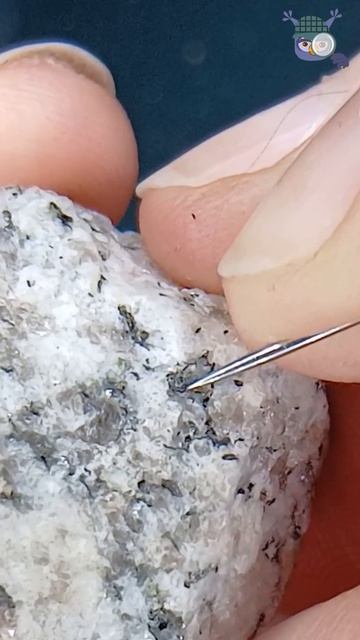 Нашла на дороге обычный камень, а под лупой ...