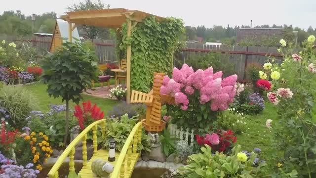 Видео привет с 6 соток от 29 августа 2021 года