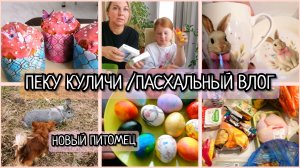 ВЛОГ❤️ПАСХА🐰  КРАСИМ ЯЙЦА🥚🎨   ПЕКУ КУЛИЧИ/ У НАС НОВЫЙ ПИТОМЕЦ