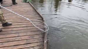 Рыбка клюет