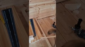 1000055683.mp4 (Собака наблюдает за устройством лестницы на 2-ой этаж в доме А-фрейм)