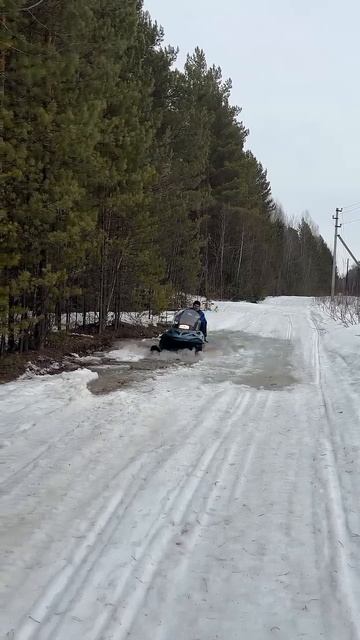Весна идет полным ходом.