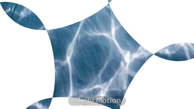 Для Милены бро🐬