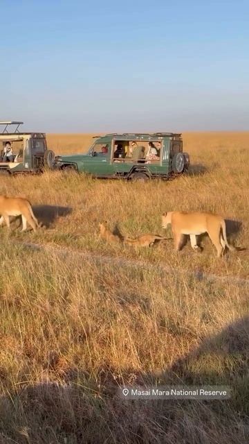 Семейство на прогулке