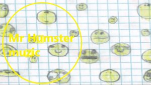 Mr Humster muzic / emotions