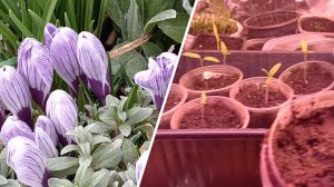 ЗДРАВСТВУЙТЕ!