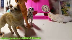 сюрпризы, Пасха! найдёте ли вы яйца?