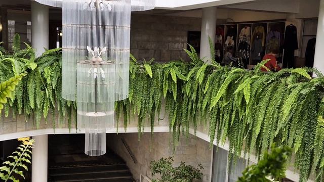 Это был второй день нашего пребывания в санатории. Осваиваемся...