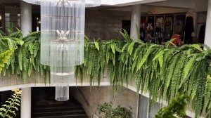 Это был второй день нашего пребывания в санатории. Осваиваемся...