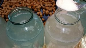 Лягушка из Лдзаа березовый квас затопило наш Лесопарк