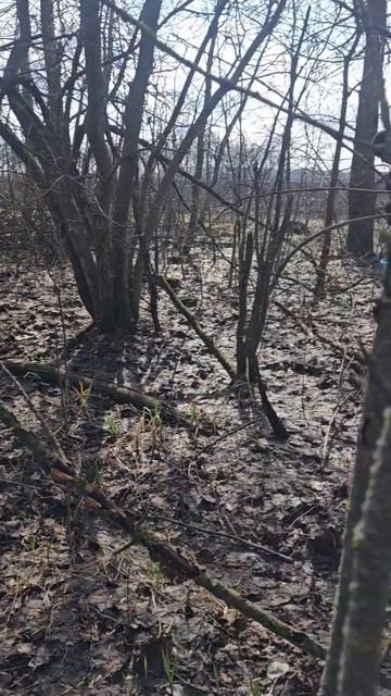 Тихая охота!