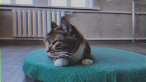 эдит Рыжуле из анука-давай-ка