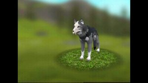 изменила скин в Wild Craft