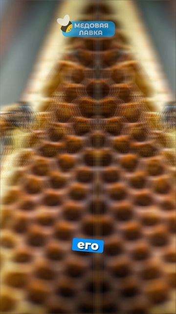 Что пчеловоды ДОБАВЛЯЮТ в мёд? Вся правда! 🍯🧪  #пчелы #факты #здоровье #мёд #пчеловодство