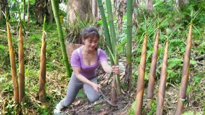Собираю побеги бамбука и отвариваю, иду на рынок продавать. Ухаживаю за ананасовым садом. Нхат