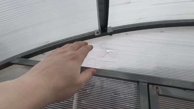 Что с ТЕПЛИЦЕЙ? После зимы