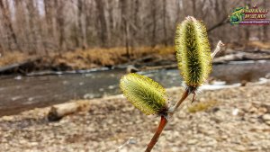 Рыбалка на горных реках Хабаровского края, река Маглой, Ульбин, 11.04.2026г. часть 3