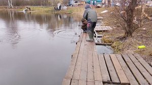 Ловля форели на безлимите РК "Фишка Петряиха"