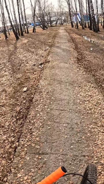 Золотую осень похезали, после зимы снова зима #велопоездка #велосипед #Тюмень