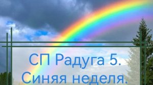 СП Радуга 5. Синяя неделя. Участник 15.