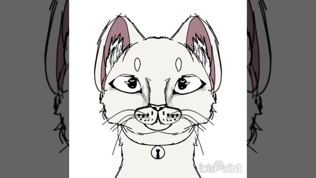 ✨Рисую немного реалистичного котика🪶