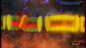 RVA: (Дирижабль🪱).