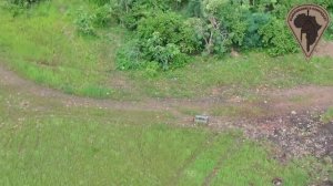 Африканский Корпус. Немного кадров боевой подготовки.