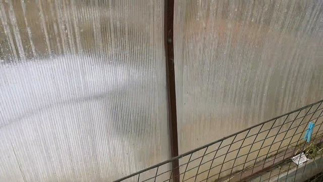 11 Апреля 2026г. Не взошли томаты. Что с рассадой в теплице?