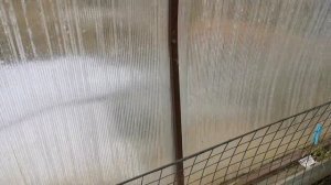 11 Апреля 2026г. Не взошли томаты. Что с рассадой в теплице?