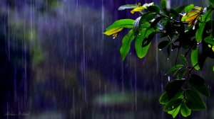 ☔️ УСПОКАИВАЮЩАЯ МУЗЫКА ДЛЯ СНА И ШУМ ДОЖДЯ 🎵 РАССЛАБЛЯЮЩАЯ МУЗЫКА ДЛЯ ДУШИ И ВЕСЕННИЙ ЗВУК ДОЖДЯ