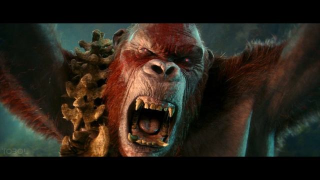 Soalex - Night Vision / Godzilla x Kong The New Empire