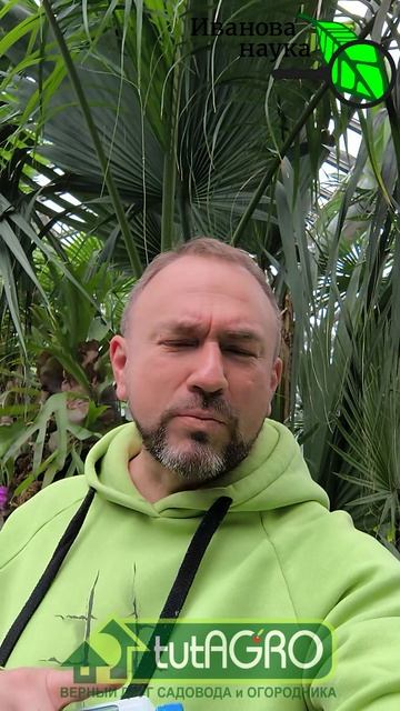 🌿✨Желтеет и сохнет рассада? Срочно сделайте ЭТО! Хватит совершать эту ошибку! Реанимация за 2 часа.