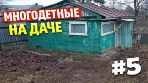 #5 Получили крутой подарок от подписчика. Переселенцы на даче.