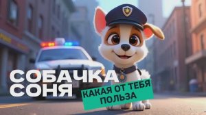 Собачка Соня какая от тебя польза