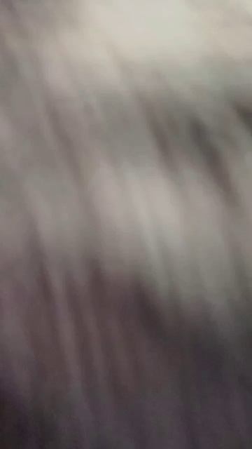 день лошади